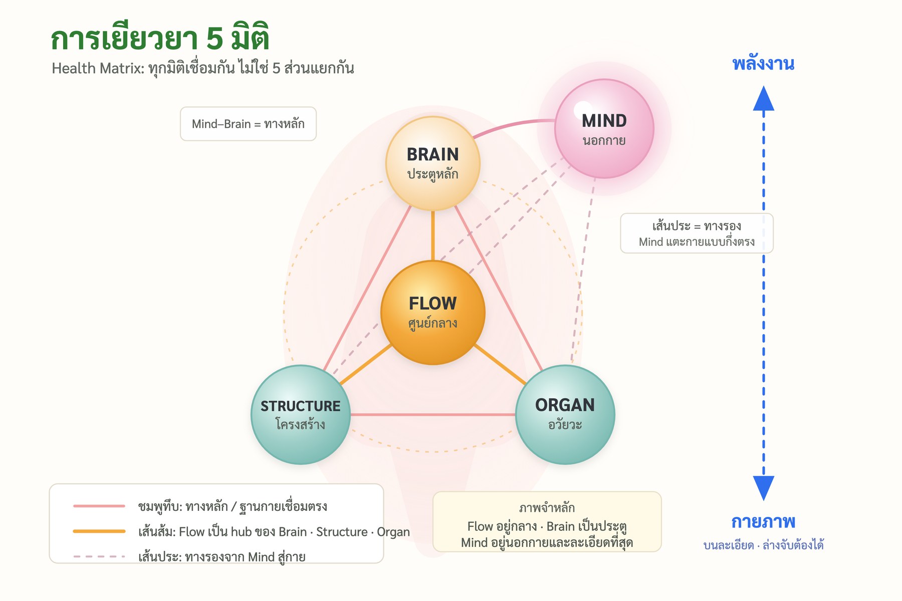 แผนภาพความเชื่อมโยงของสุขภาพ 5 มิติ