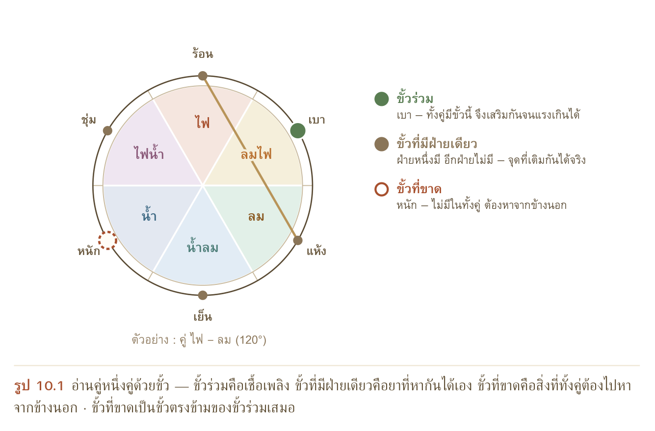 รูป 10.1 อ่านคู่หนึ่งคู่ด้วยขั้ว — ขั้วร่วมคือเชื้อเพลิง ขั้วที่มีฝ่ายเดียวคือยาที่หากันได้เอง ขั้วที่ขาดคือสิ่งที่ทั้งคู่ต้องไปหา จากข้างนอก · ขั้วที่ขาดเป็นขั้วตรงข้ามของขั้วร่วมเสมอ